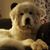 Oso Gonzalez's profile image
