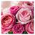 Linda Louise Gunter's profile image
