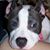 Ashley McRoberts's profile image