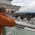 Anton Babenko's profile image