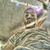 Jaquon Smith's profile image