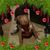 Luis Lopezl Chuko's profile image