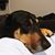 Tammy Loscher's profile image
