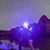 Mitchel Halmi's profile image