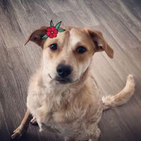 Samantha Stewart's profile image