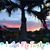 Louann Trevino's profile image