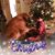 Julie Newkirk's profile image