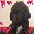 Melissa Durant's profile image