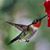 Pat Bleau's profile image