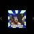 Lee Ranft's profile image