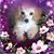Jan L Culpepper's profile image