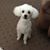 Sandra Kee's profile image