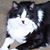 Deena Reuben Bates's profile image
