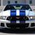 Ford Shelby Cobra's profile image
