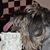Karen Peak's profile image