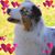 Laura Pacini Carnock's profile image
