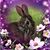 Kristine Allen Patti's profile image