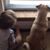 Brenda Skaggs's profile image