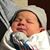 Sandy Gajewski Laudano's profile image