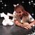 Yvette Teister's profile image