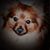 Anita England Pruitt's profile image