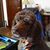 Brenda Whitmore Haskins's profile image