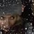 Cindy Rae Toth's profile image