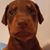 Laura Dove Kennedy's profile image