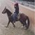 Jorge Luis Hernandez Infante's profile image