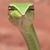 Jessica Boggs's profile image
