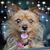 Terri Keller Shields's profile image