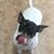 Colleen Freeman's profile image