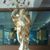 Dharmesh Anant More's profile image