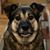 Carol Donohue-Bernstein's profile image