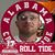 James Mclean's profile image