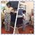 Angela Lewis Payne's profile image