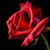Tiffany Davis's profile image