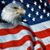 Marsha Peterson's profile image