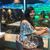 Manisha Chakraborty's profile image
