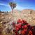 Shelby Stofle's profile image