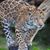 Michelle Matthews's profile image