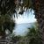 Leona Eastham's profile image
