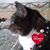 Jessica Rodriguez's profile image