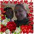 Ana Mendez's profile image