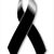 Angel Arvayo's profile image