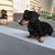 Donna Tuck McMillen's profile image