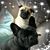 Melanie Samet's profile image