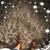 Danette MacFarlane McMillan's profile image