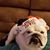 Bridget McNeff's profile image