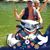 Jan Courington Franklin's profile image